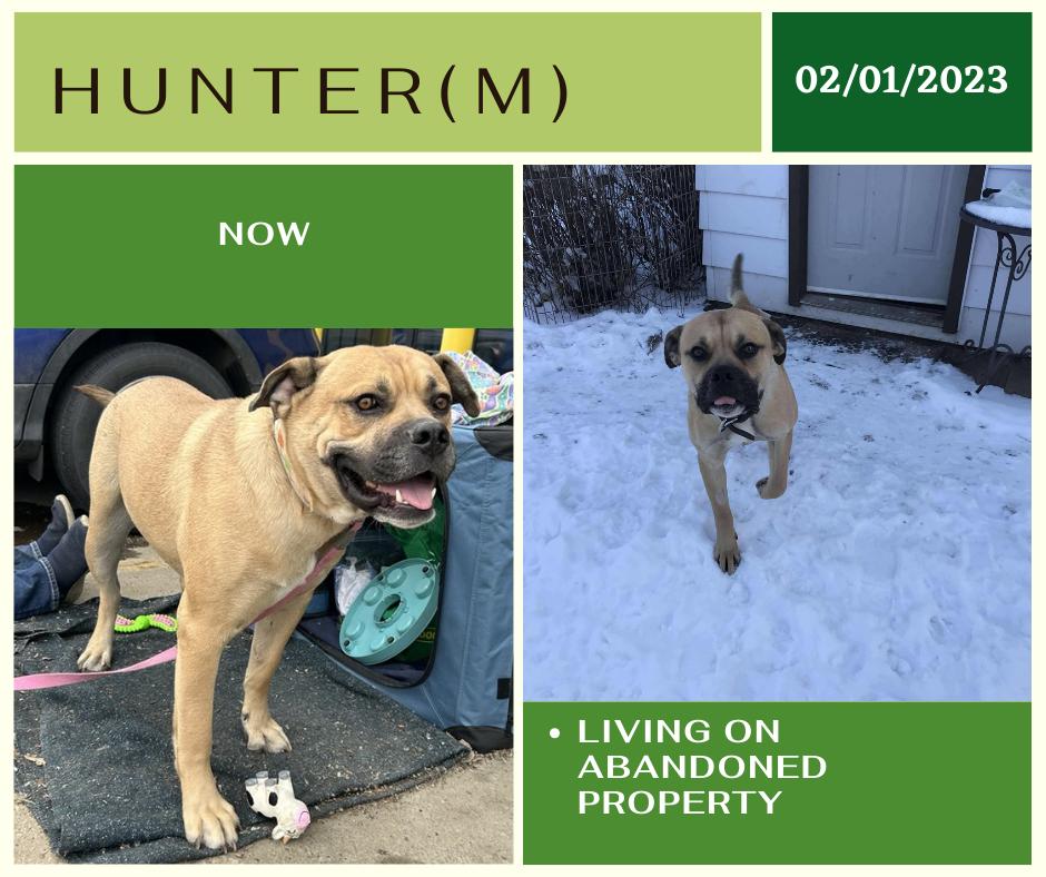 Hunter