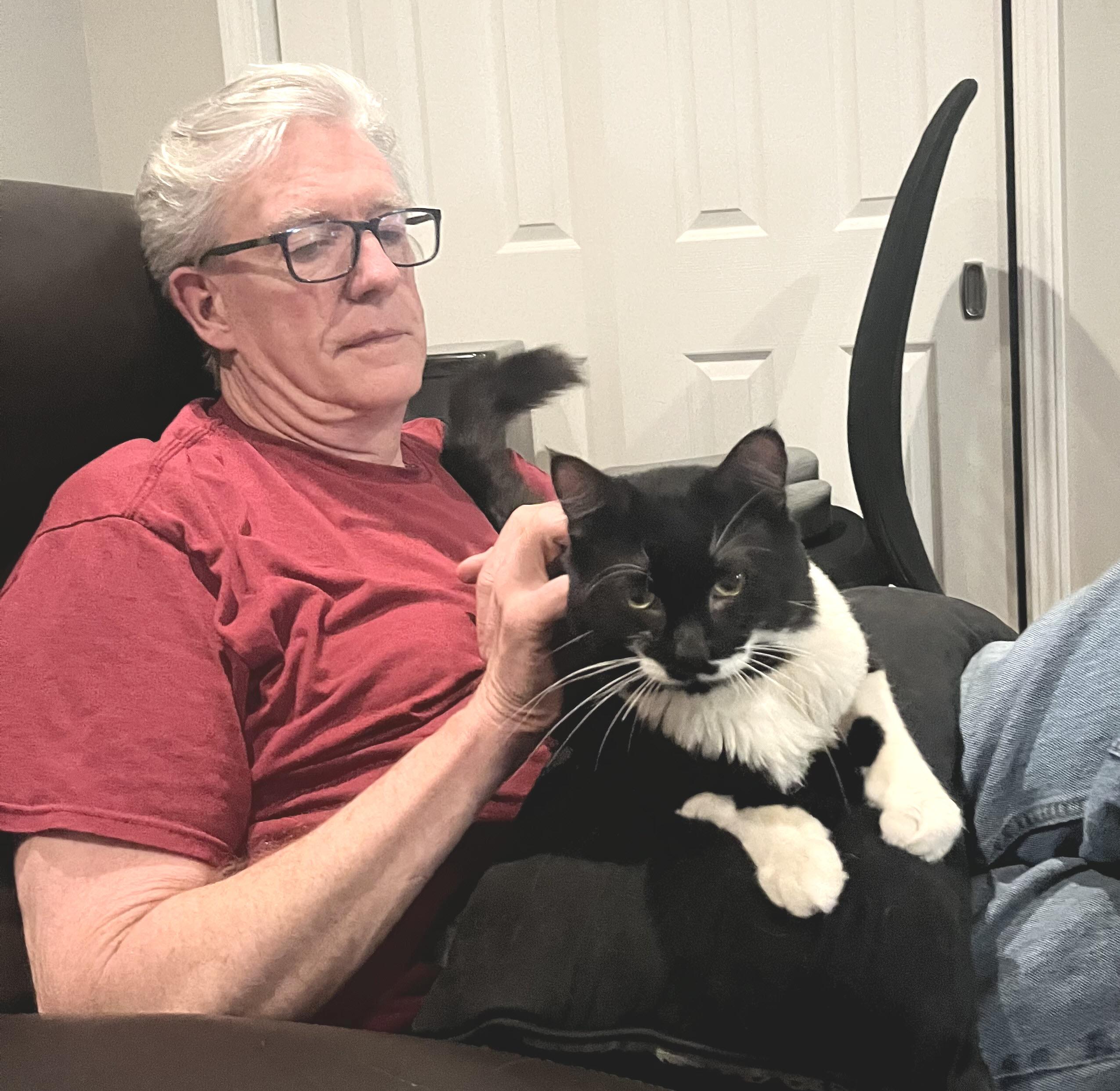Zeus, an adopted Tuxedo in South San Francisco, CA image 2/4