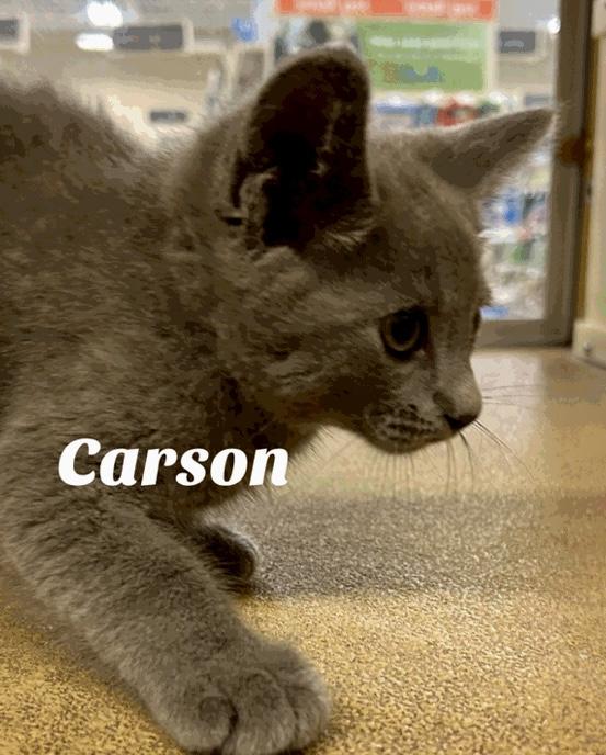 Carson
