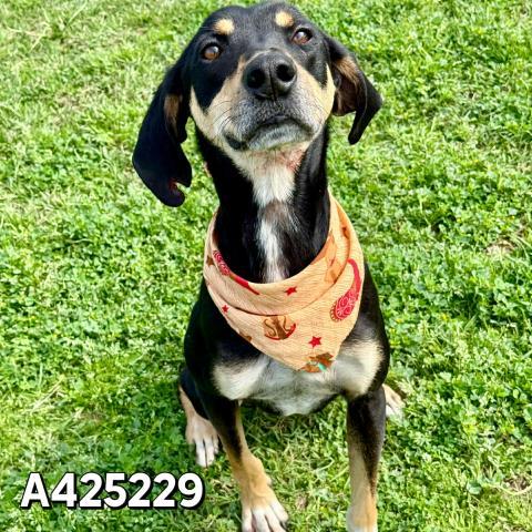 BANNER — thumbnail 2