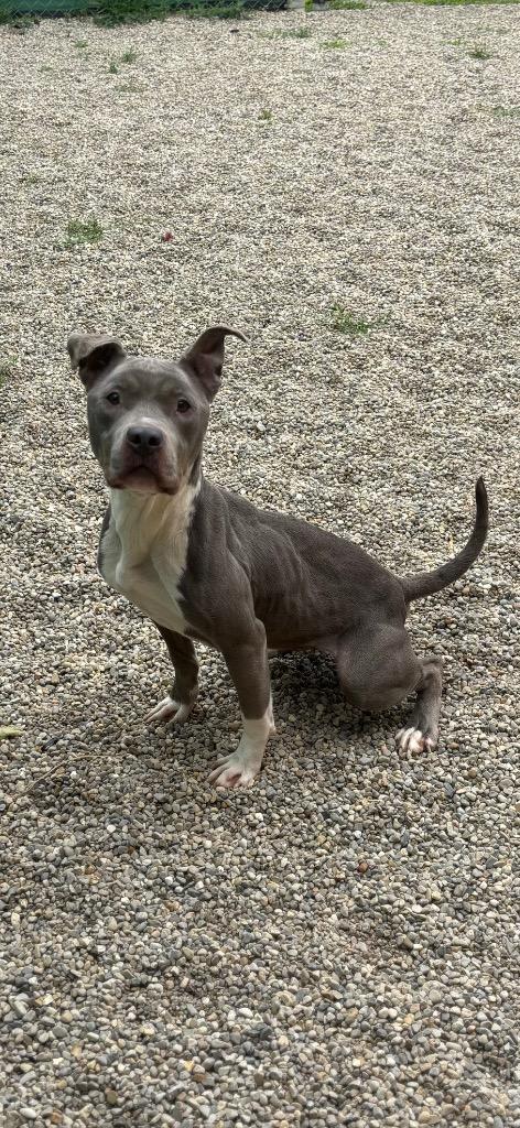 Graceland thumbnail 2