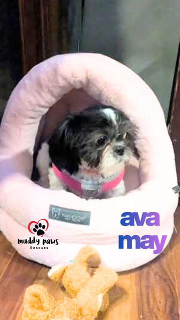 Ava May — thumbnail 2