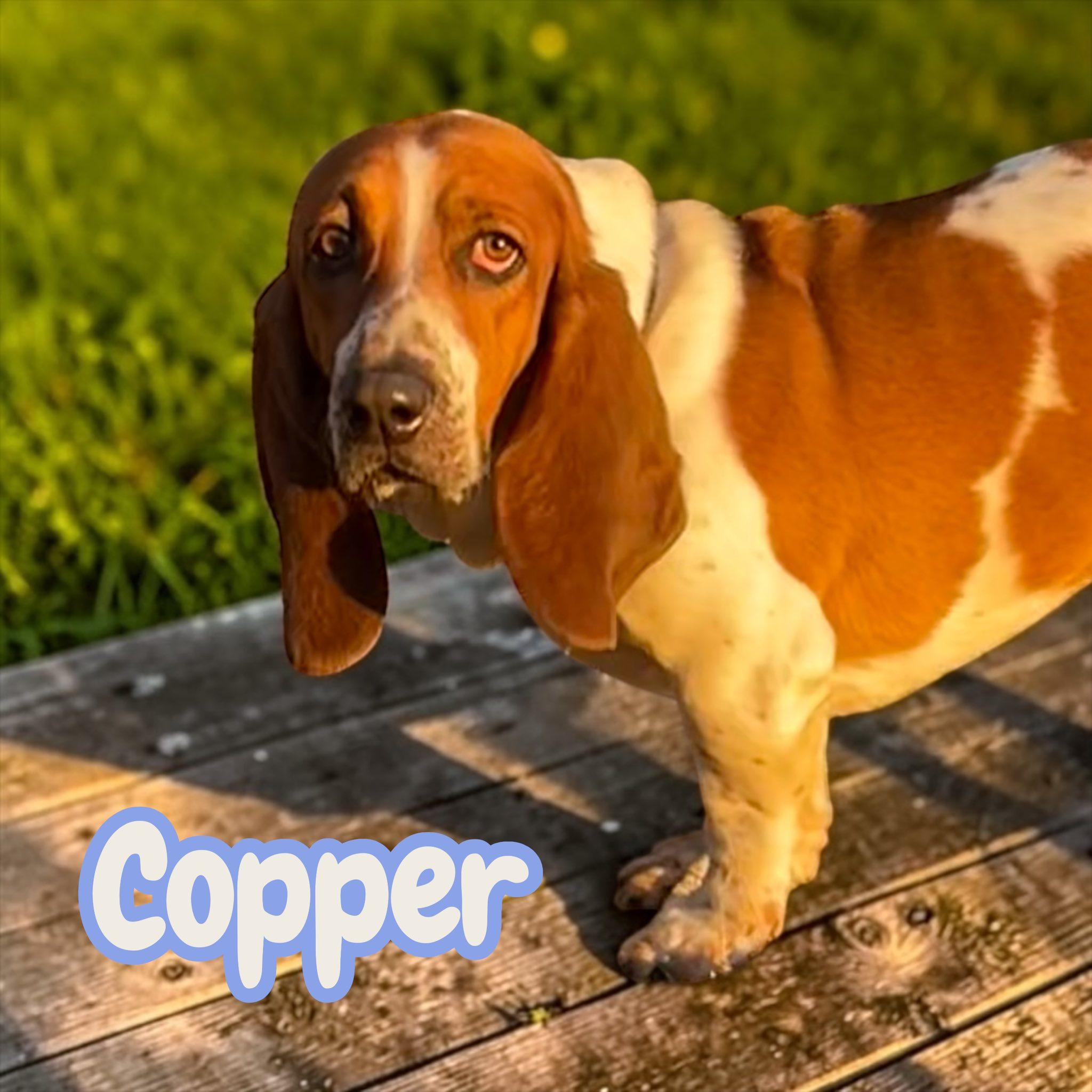 Copper