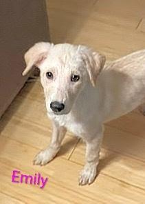 Emily (20260105-07) — thumbnail 2