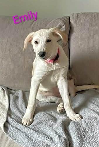 Emily (20260105-07) — thumbnail 3