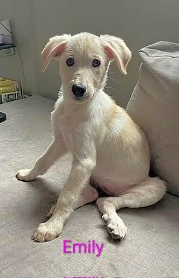 Emily (20260105-07) — thumbnail 5