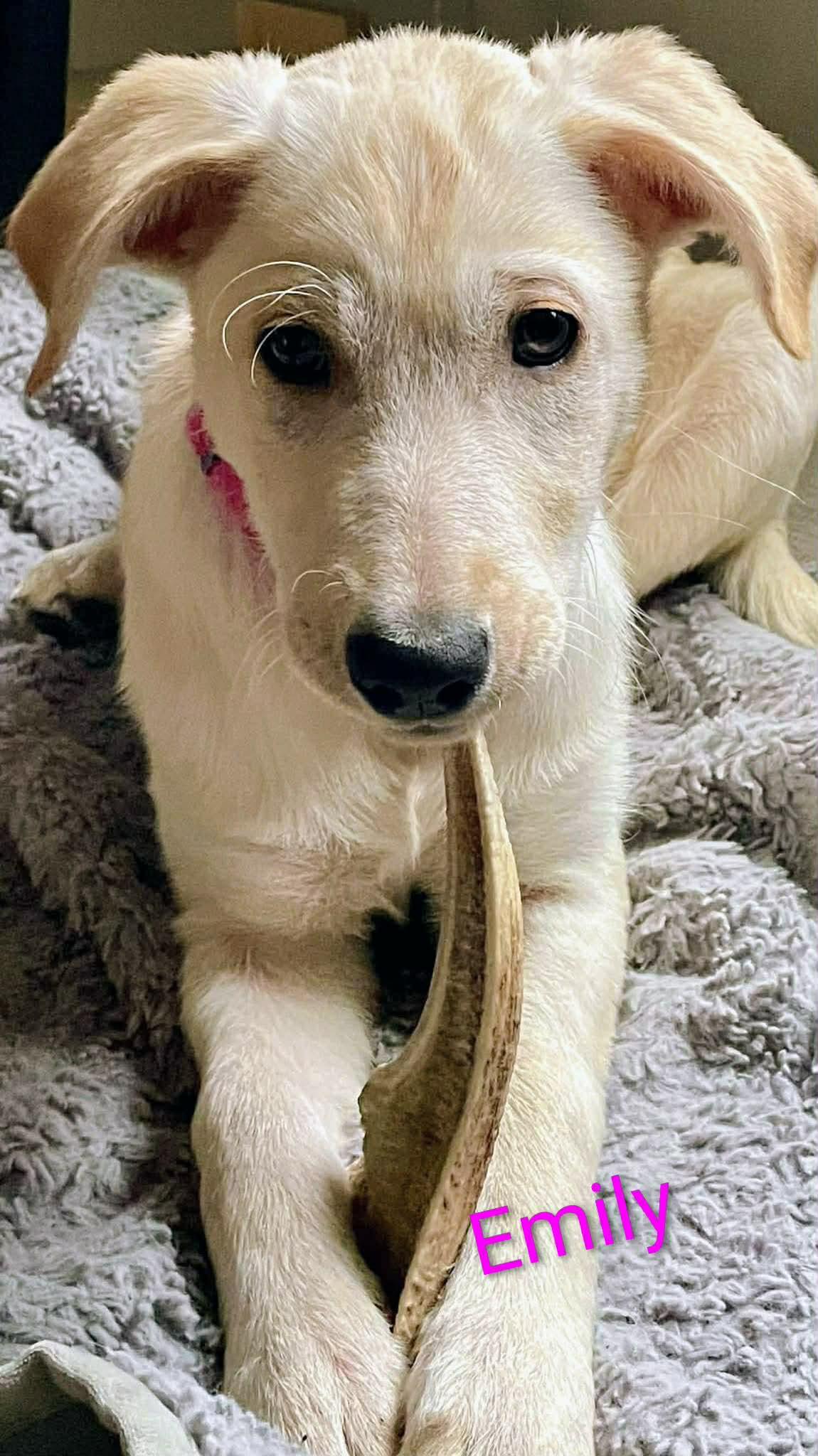 Emily (20260105-07) — thumbnail 6