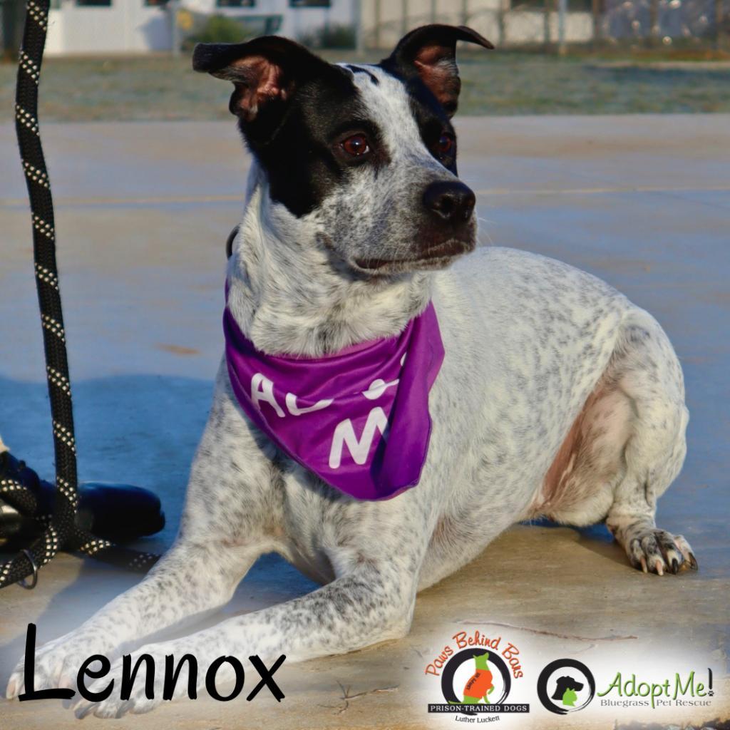 Lennox photo 5