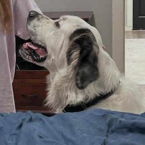 Turqouise thumbnail 3