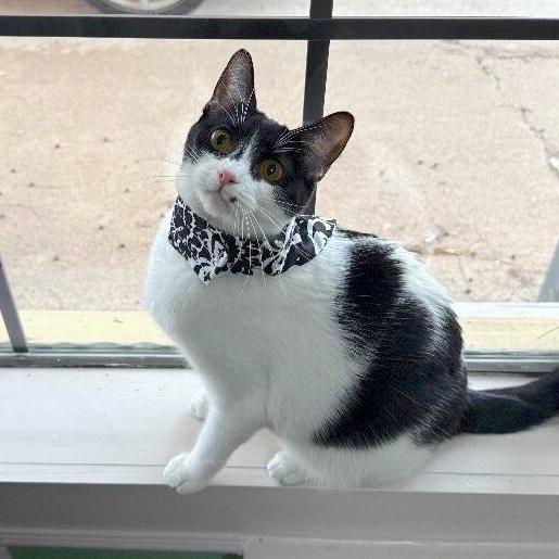 Mocha Mousse — thumbnail 2