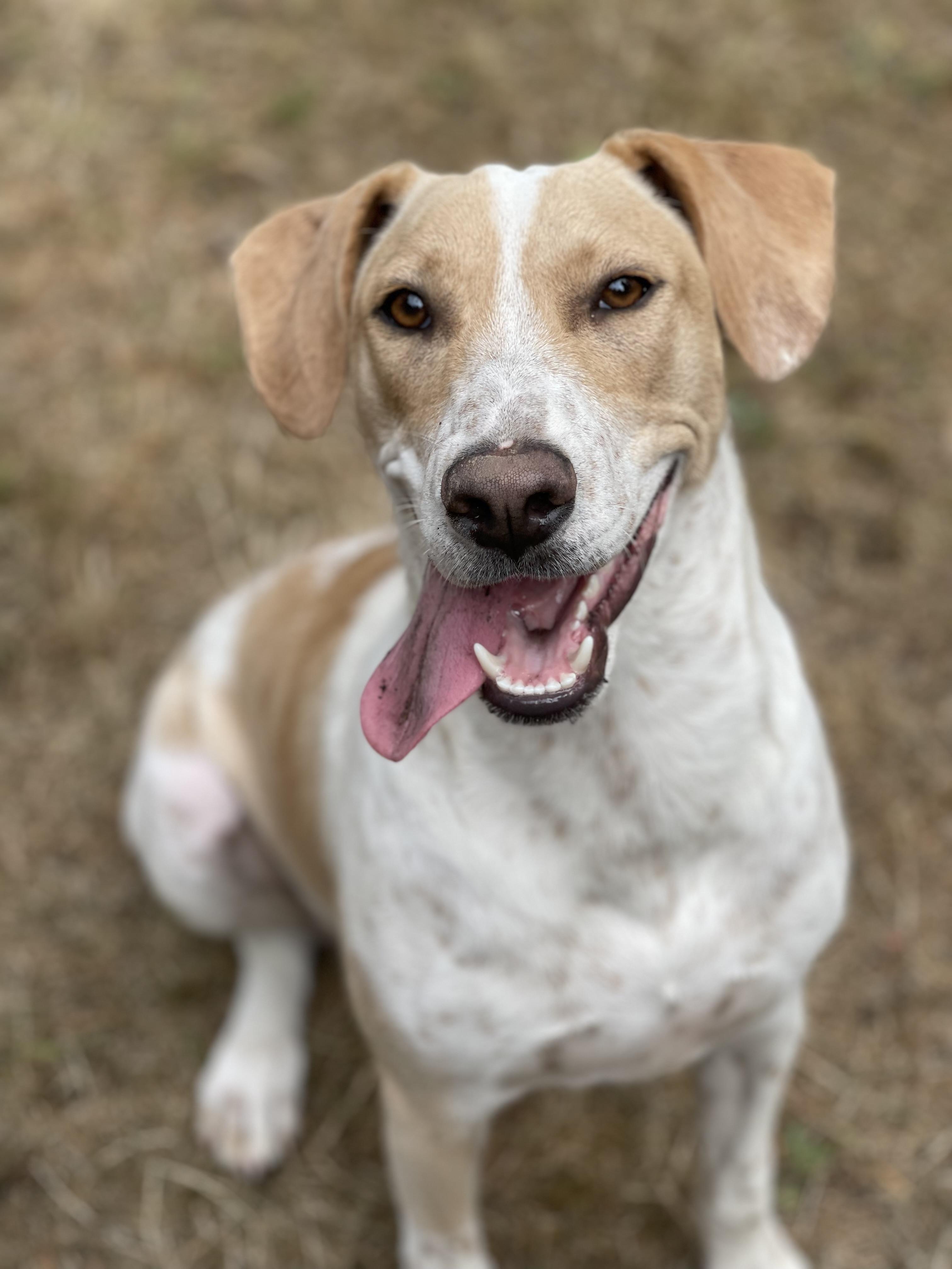 ZAIDA