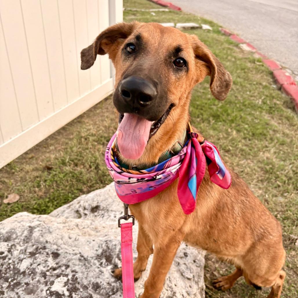 Primadonna Girl thumbnail 2