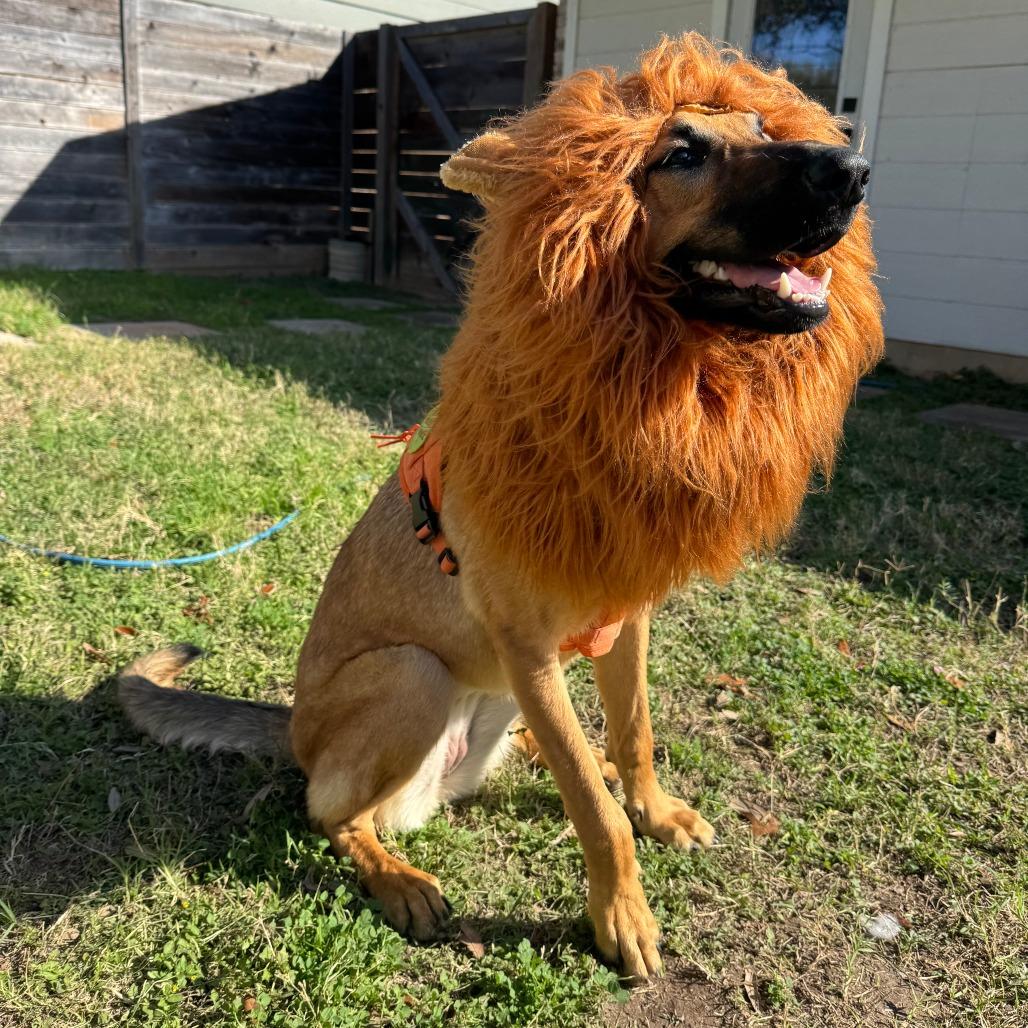 Primadonna Girl thumbnail 3