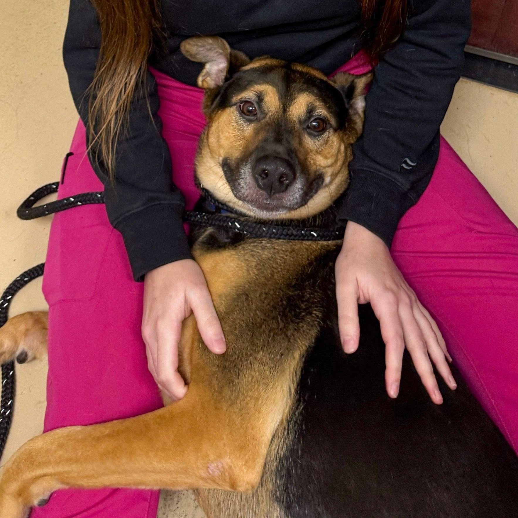 Cleopatra Bexley (CONC-A-125)