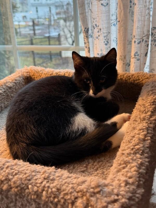 Bristol — thumbnail 2