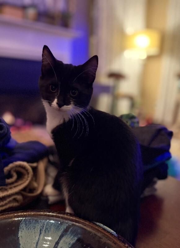 Bristol — thumbnail 3