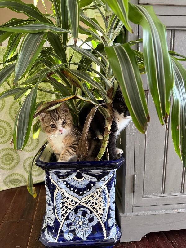 Bristol — thumbnail 5