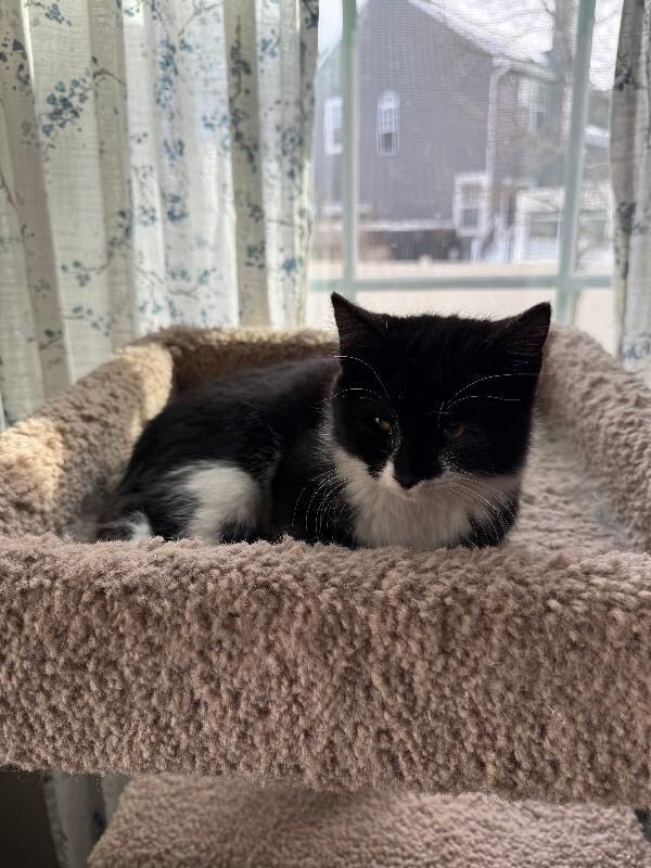 Bristol — thumbnail 6