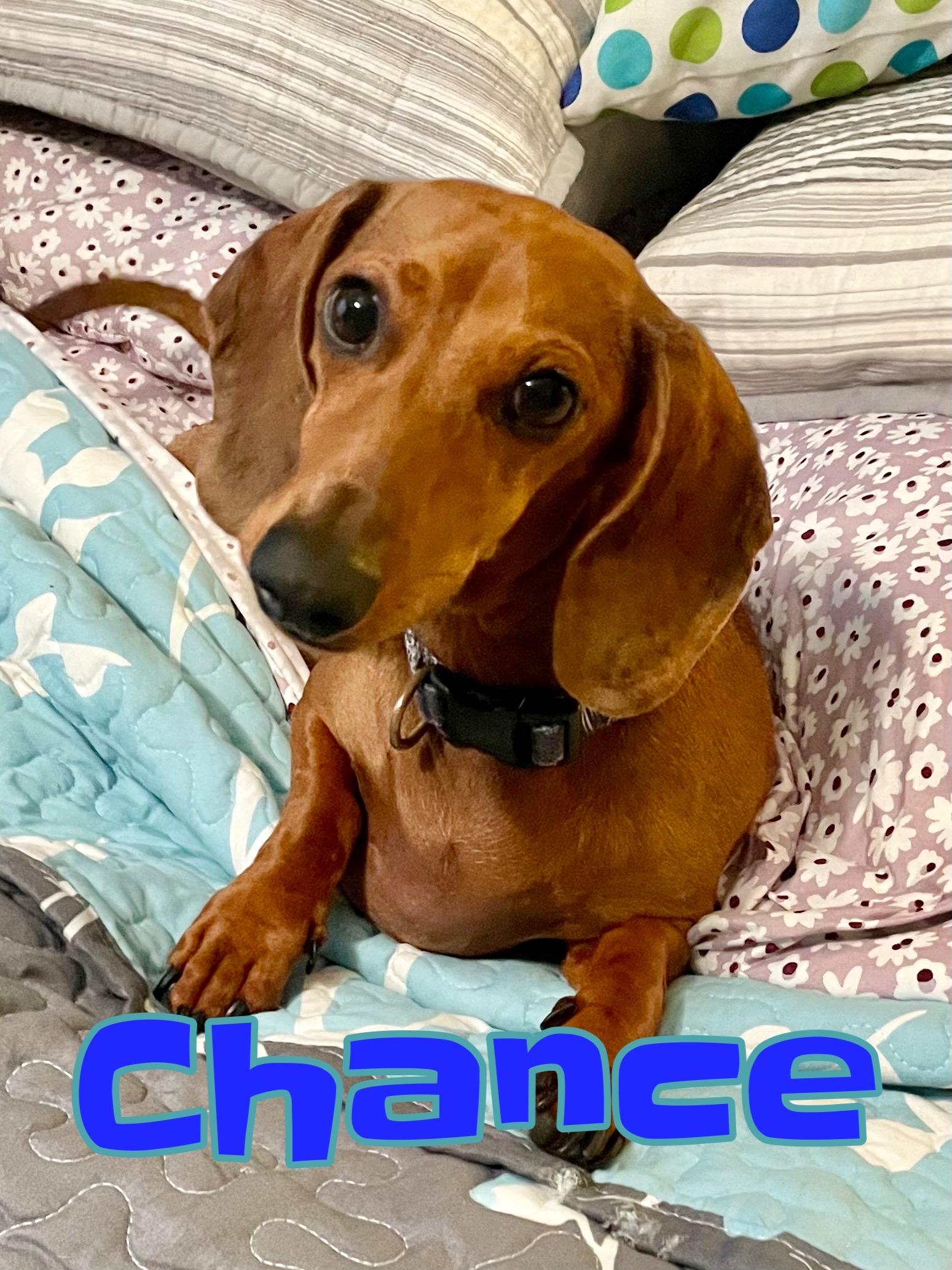 Chance in Texarkana TX
