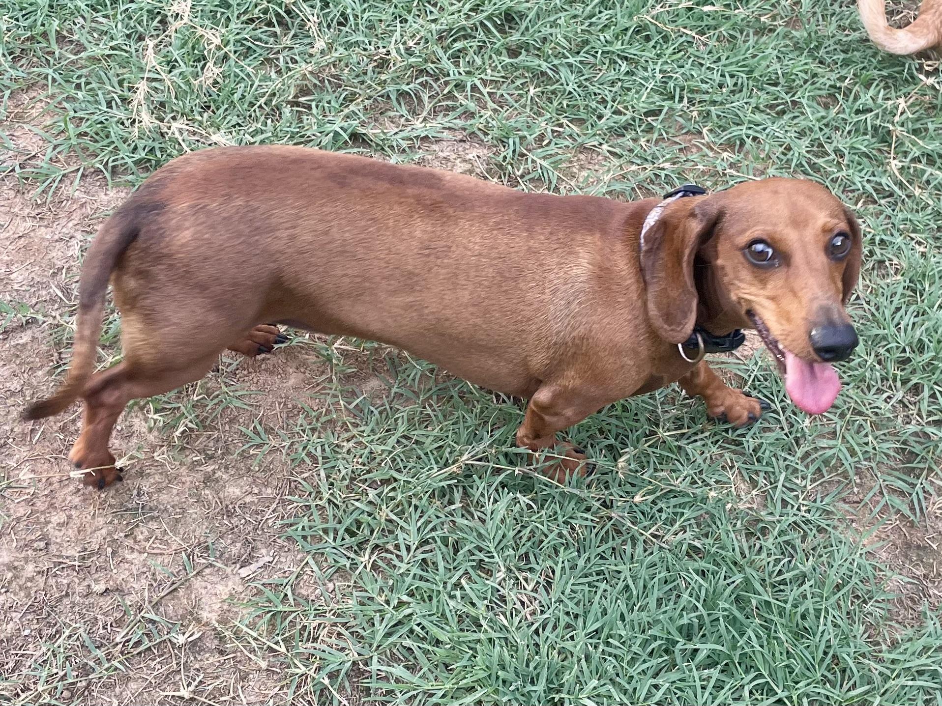 Chance in Texarkana TX