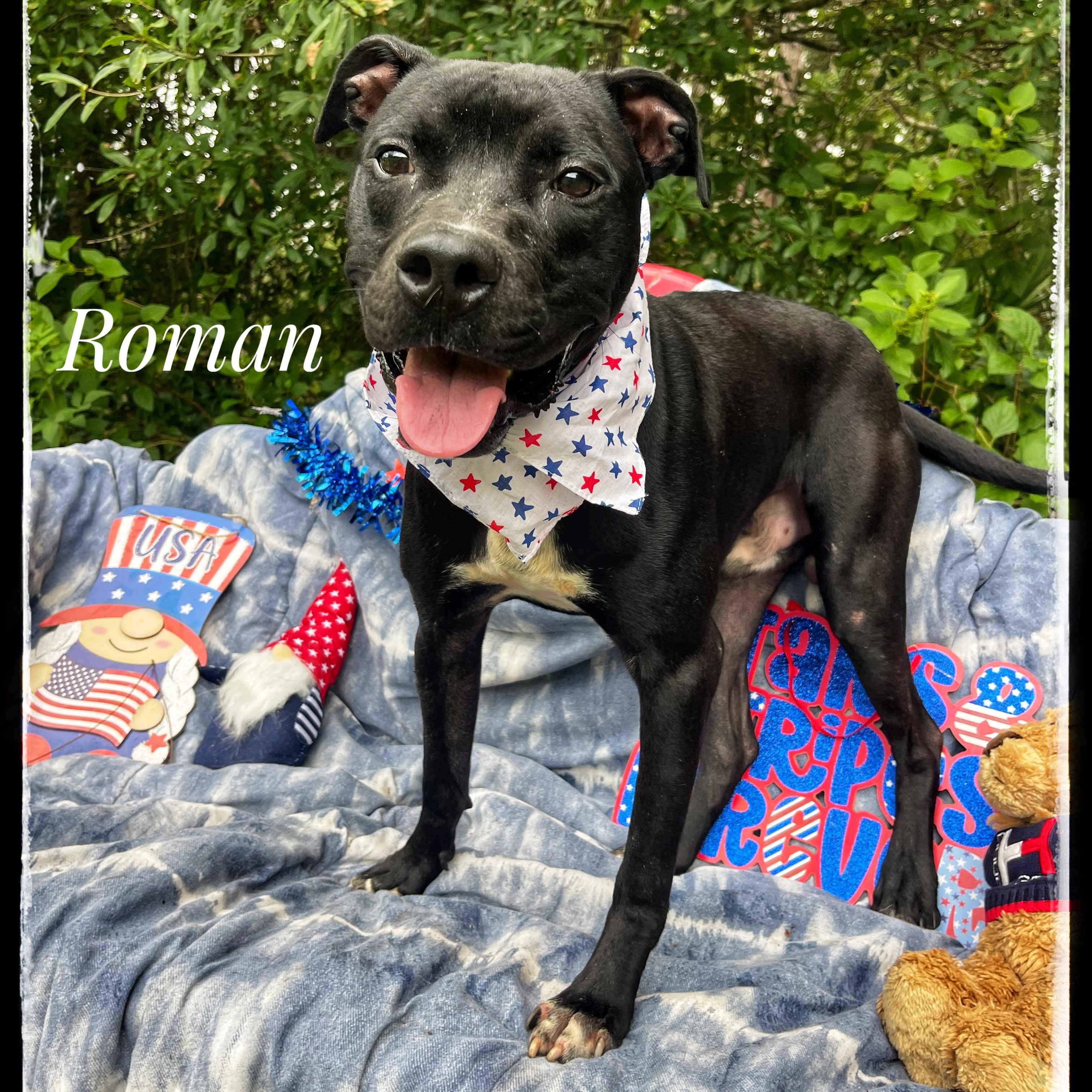 Roman
