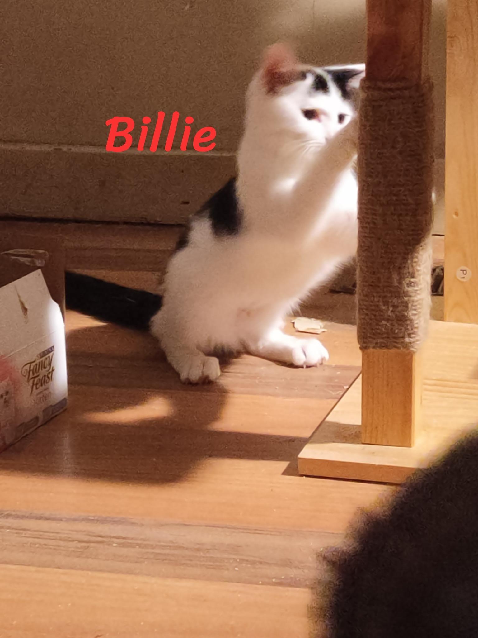 Billie
