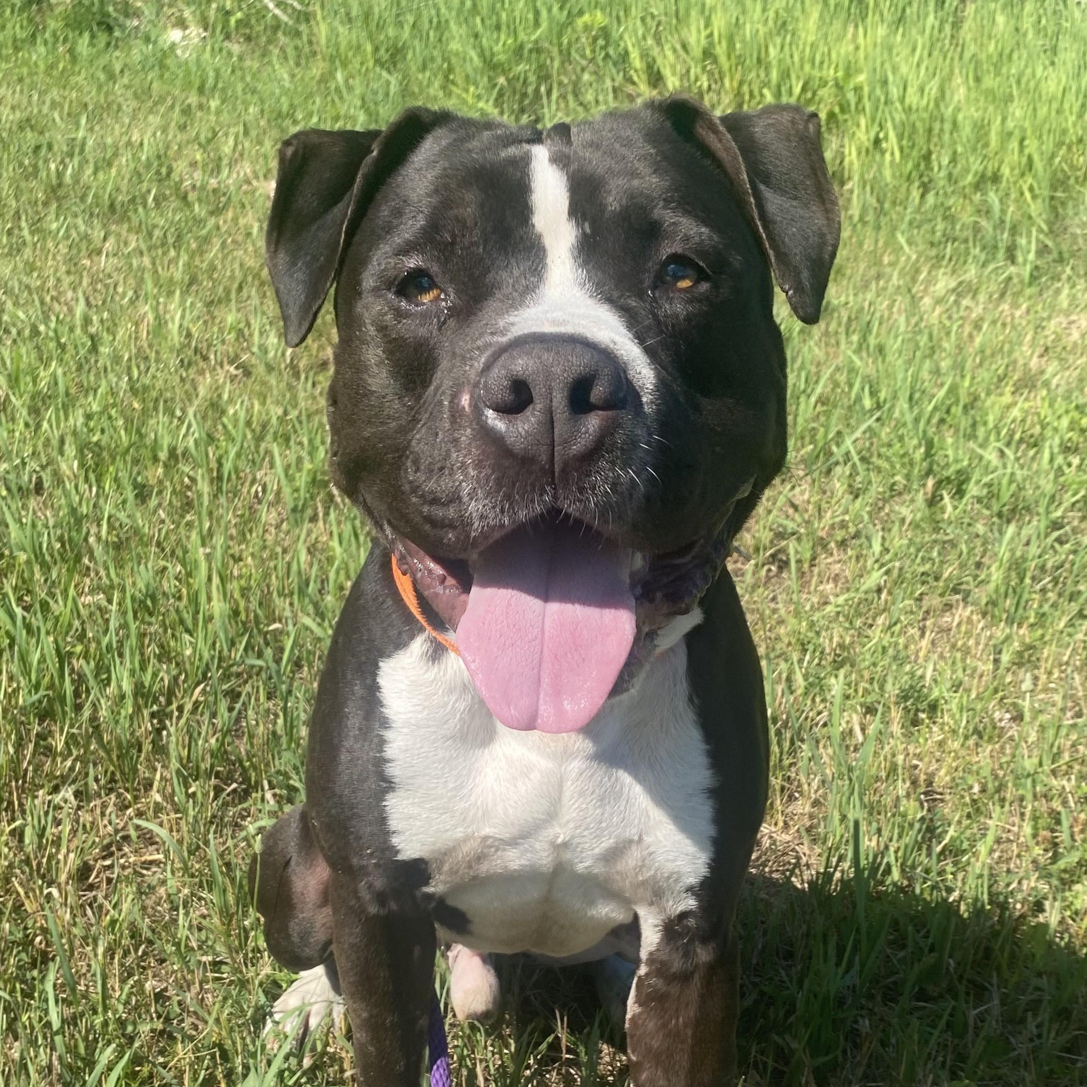 Flynn