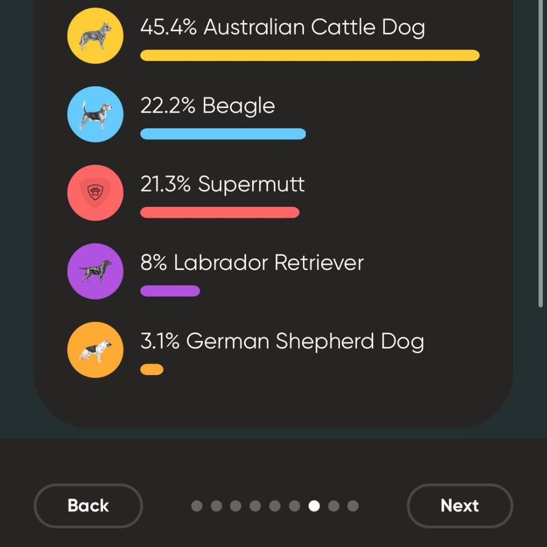 Enlarge Waylon, a ADOPTABLE mixed breed in Lexington, KY image 5/5