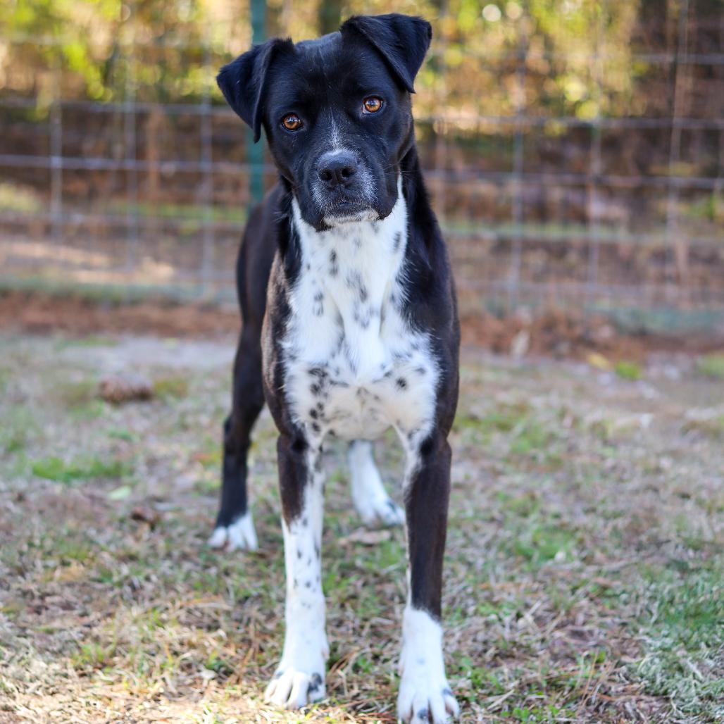 Snooki — thumbnail 2