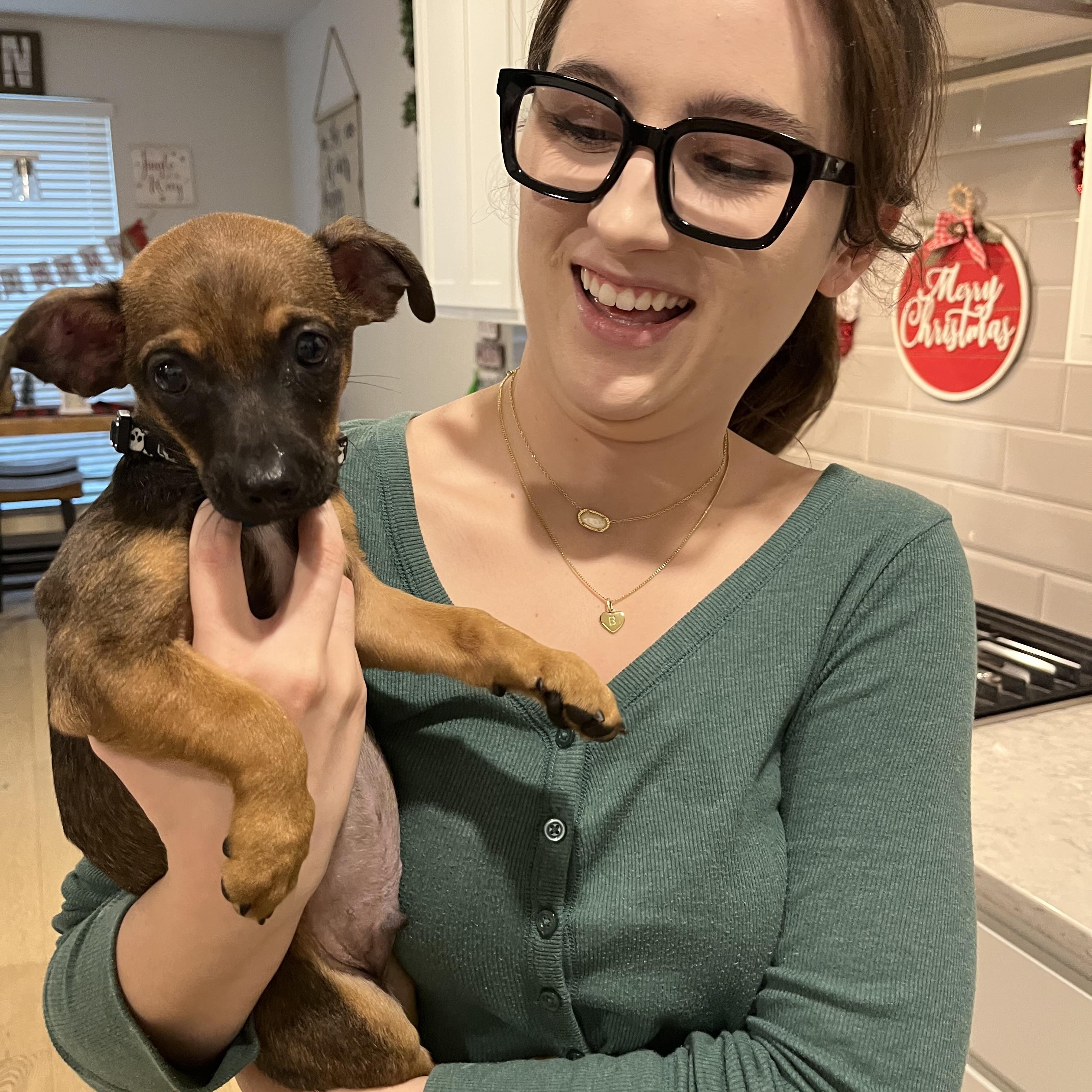 Enlarge MAX, a Adoptable mixed breed in Dallas, TX image 4/5