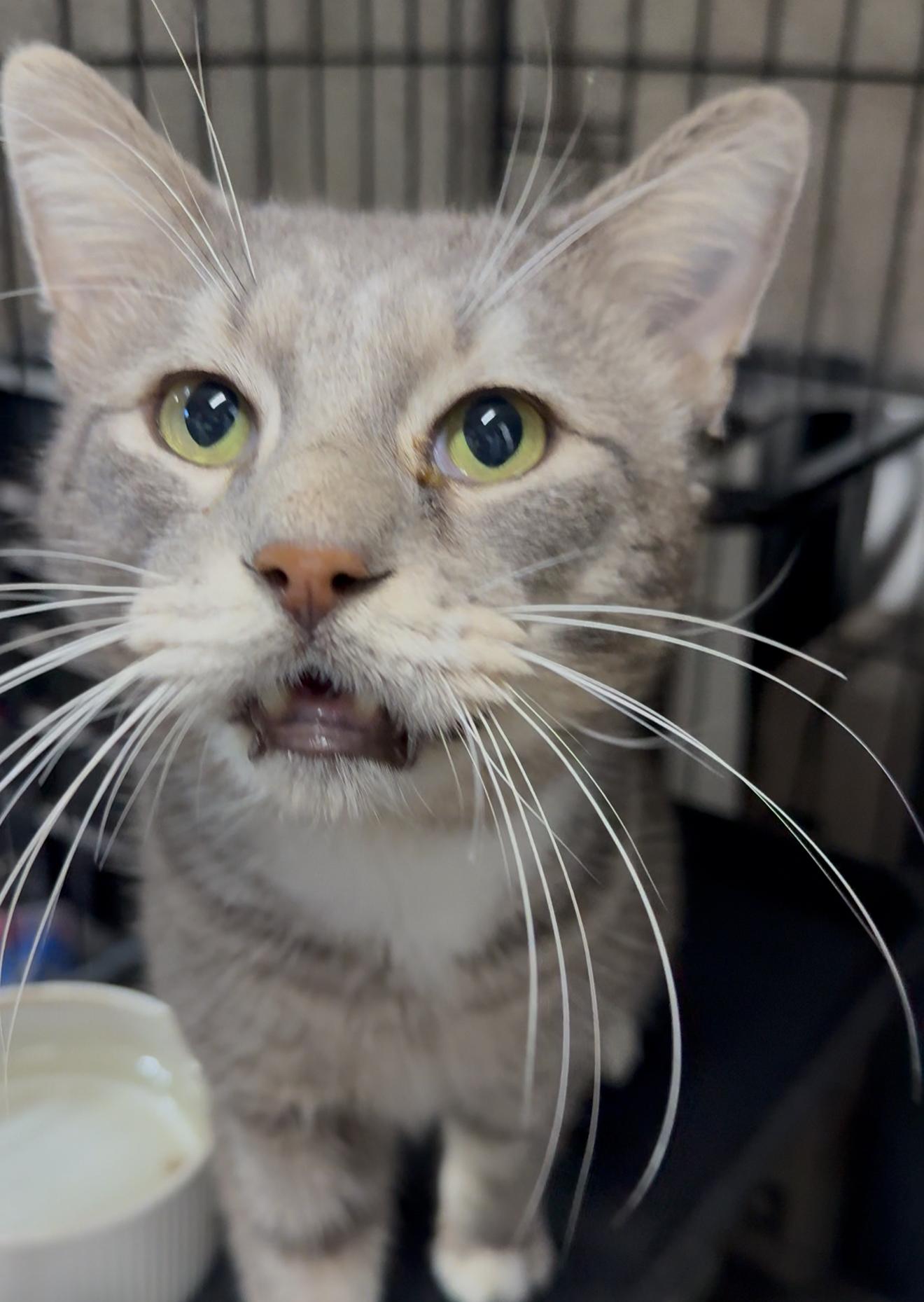 Tulum — thumbnail 3