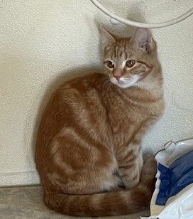 Julia — thumbnail 2