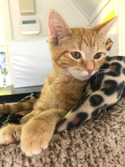 Julia — thumbnail 4