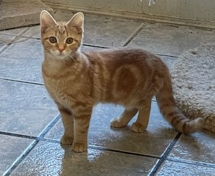 Julia — thumbnail 5