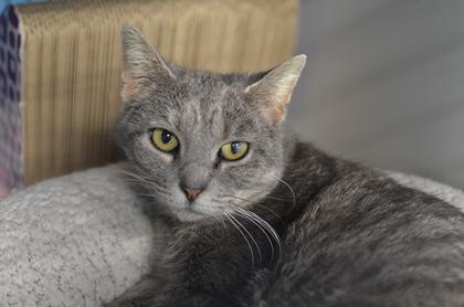 Girlz @ Petsmart — thumbnail 2