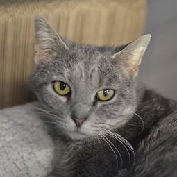 Girlz @ Petsmart — thumbnail 3