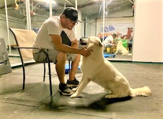 ELI BUBBA, a Adoptable mixed breed in Murrieta, CA image 3/13