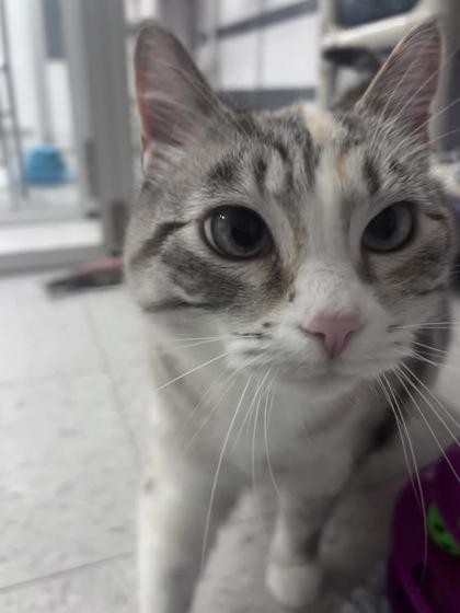 Holly — thumbnail 3