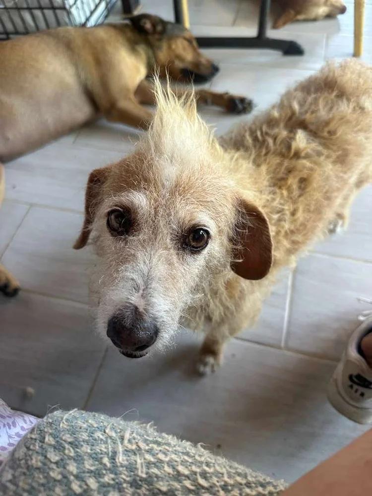 Cachetóna — thumbnail 2