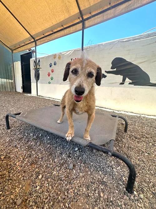 Cachetóna — thumbnail 5