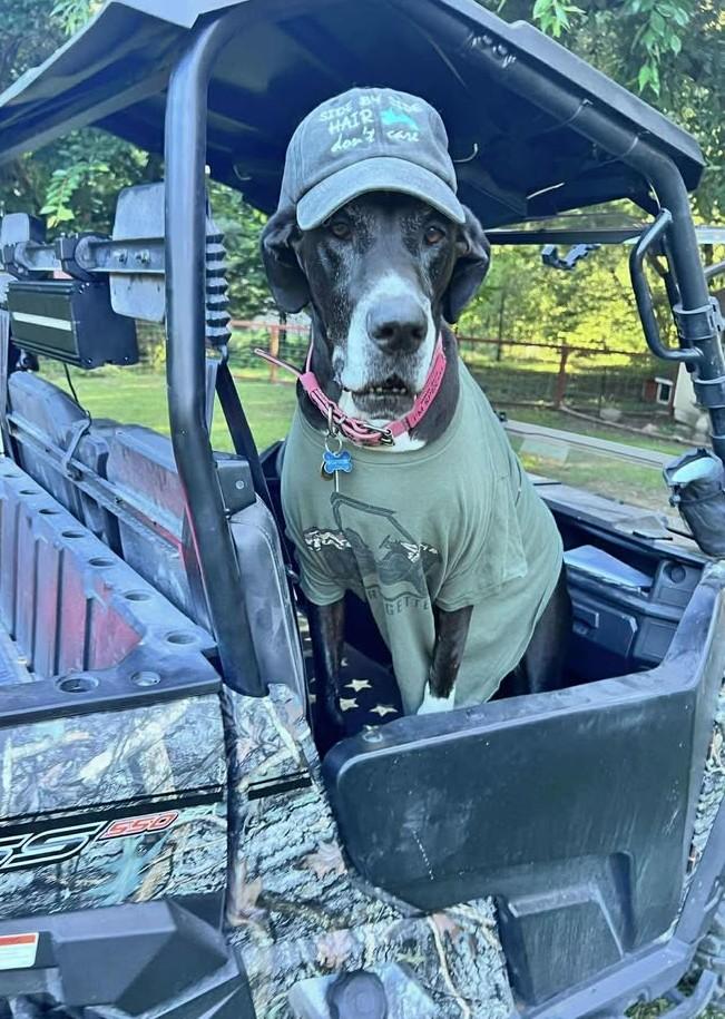 Piper (courtesy post)