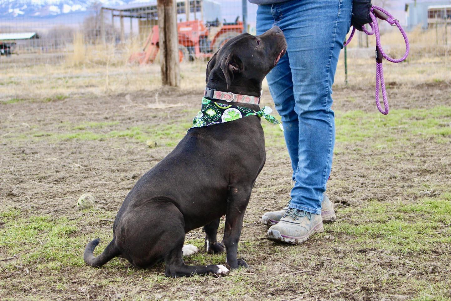 Paris — thumbnail 4