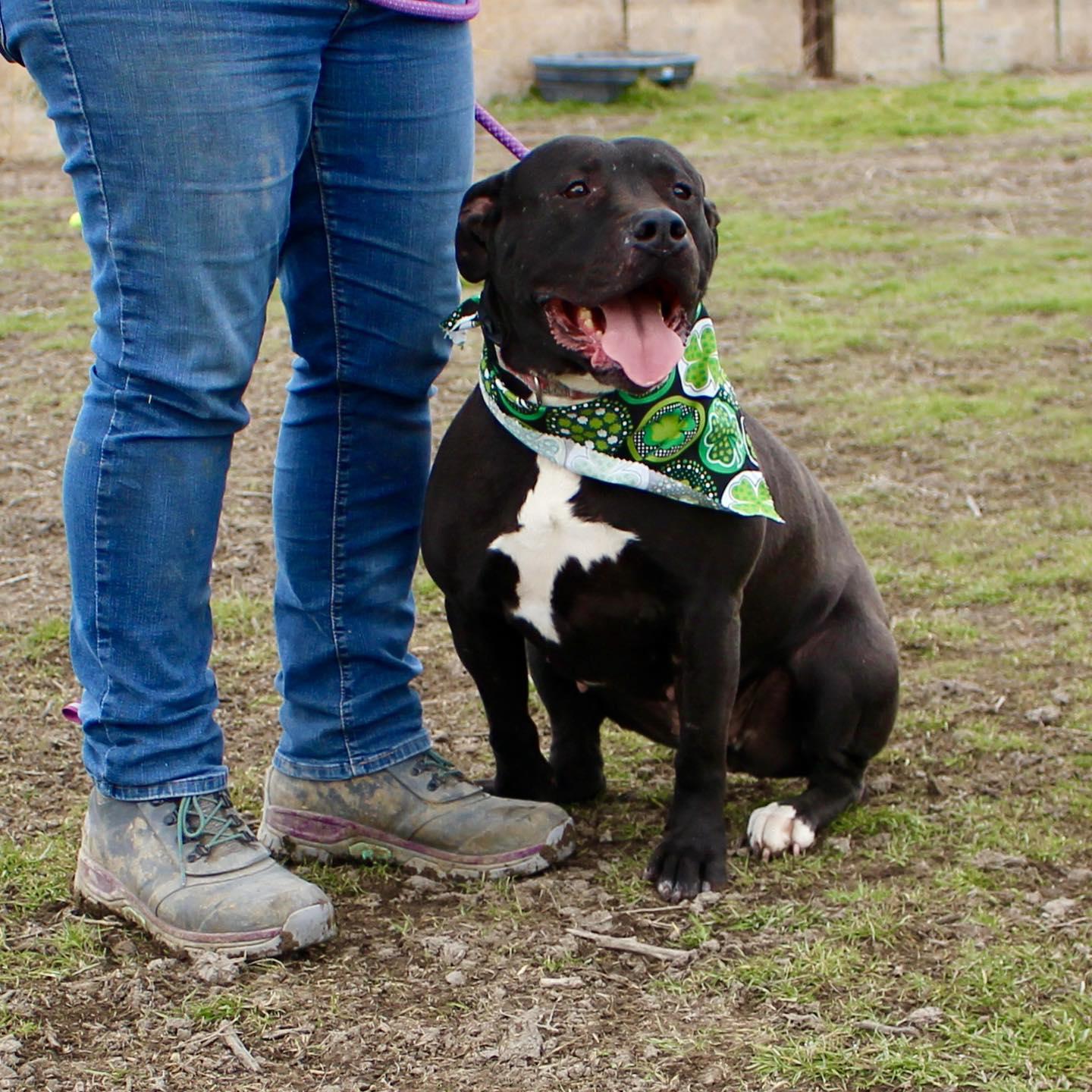 Paris — thumbnail 5