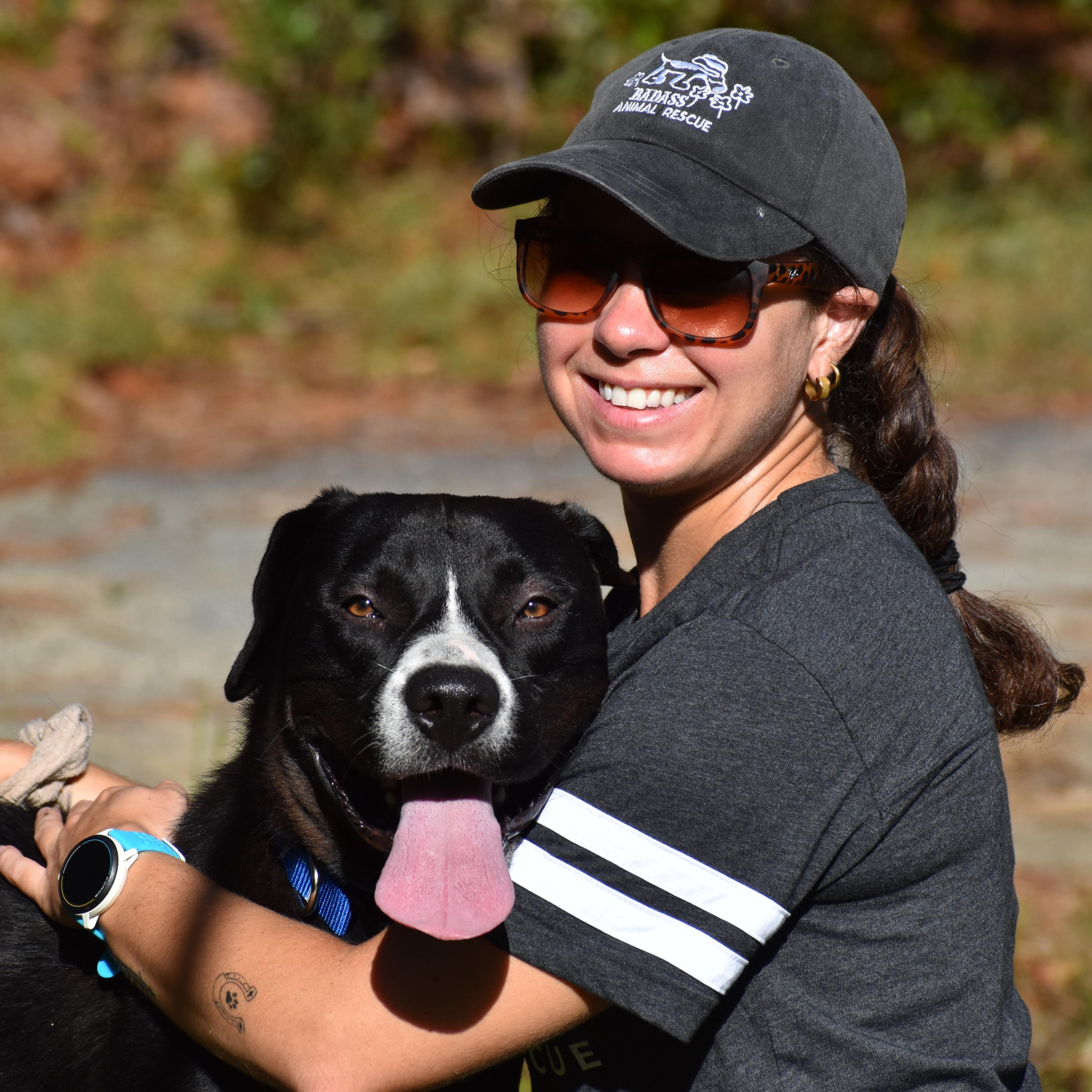 Khalil Shakir, a ADOPTABLE mixed breed in Brooklyn, NY image 2/3