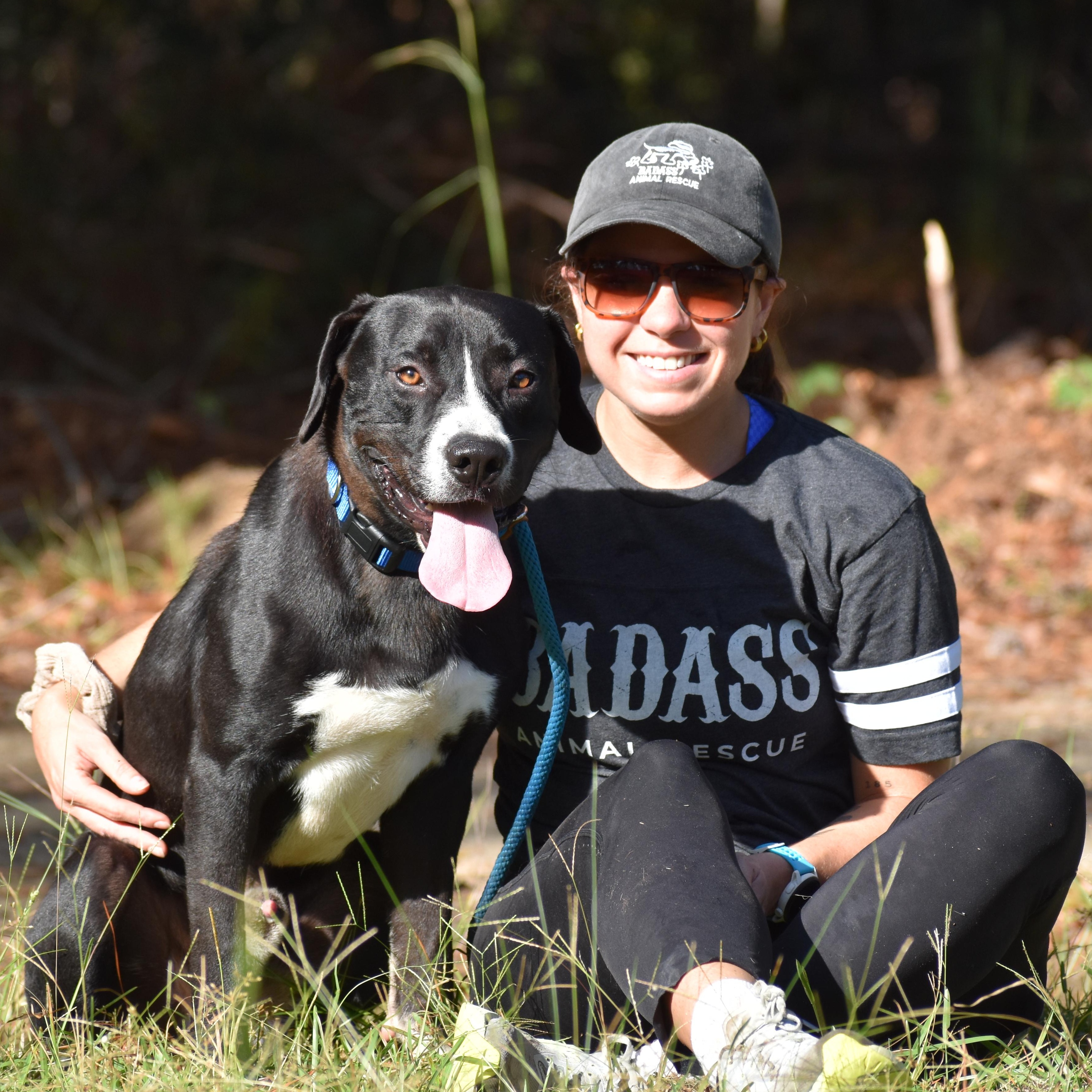 Khalil Shakir, a ADOPTABLE mixed breed in Brooklyn, NY image 3/3