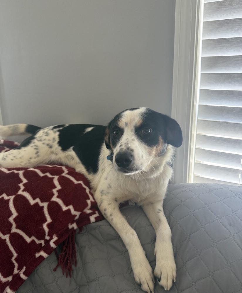 Celine Star thumbnail 2