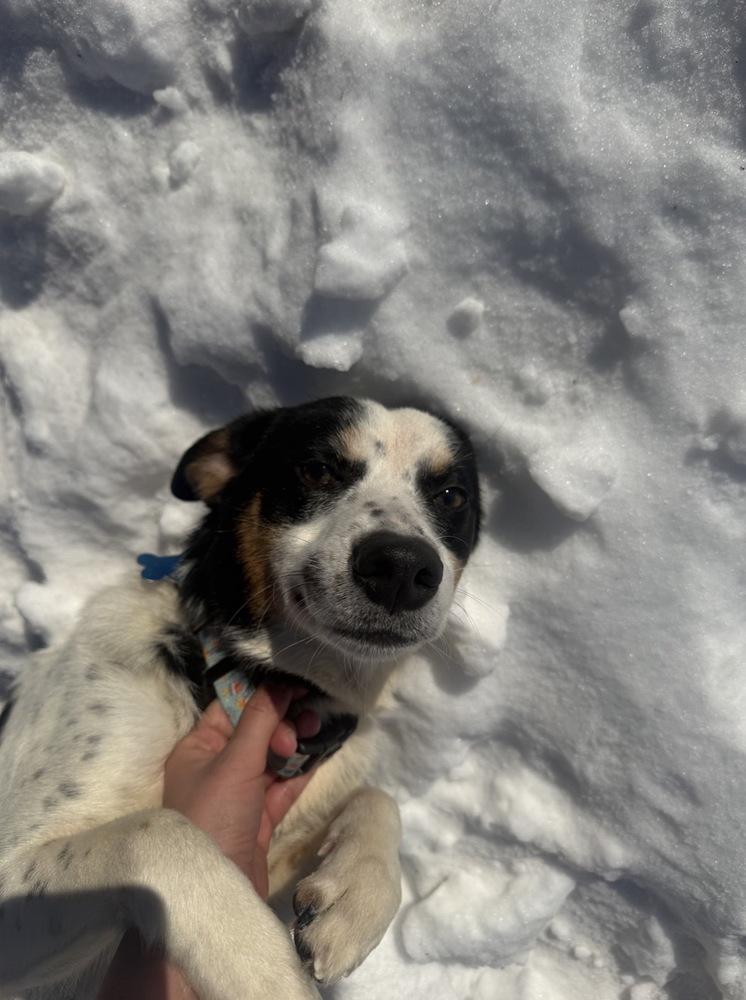 Celine Star thumbnail 4