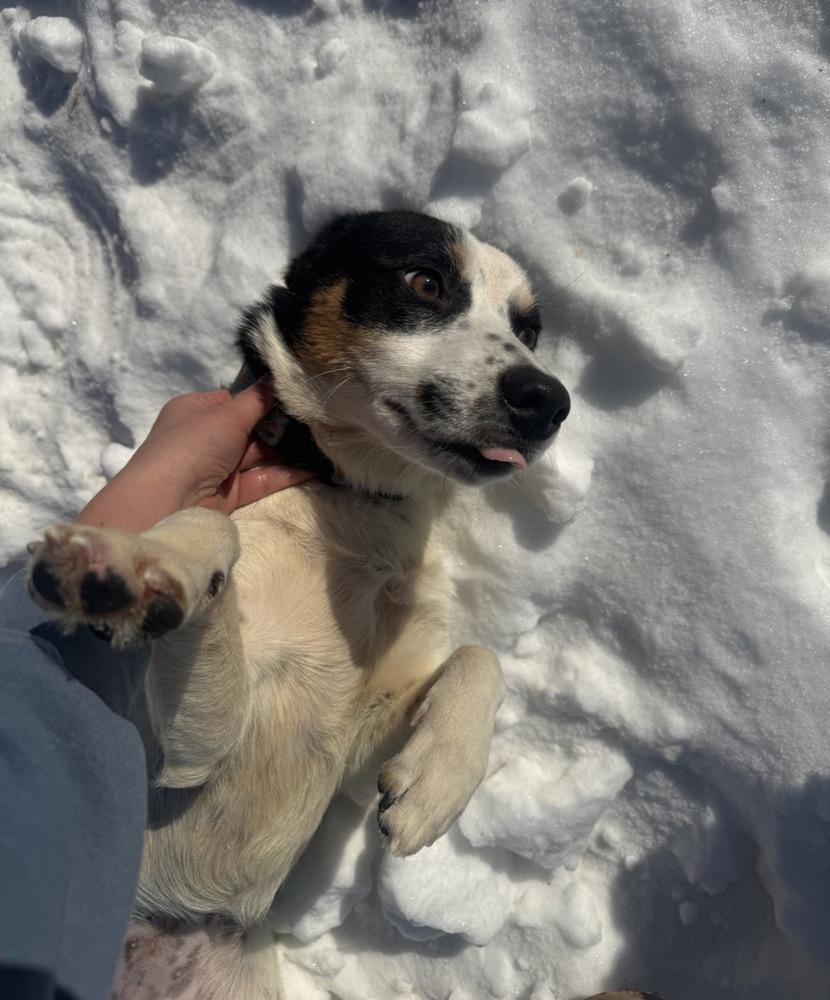 Celine Star thumbnail 5