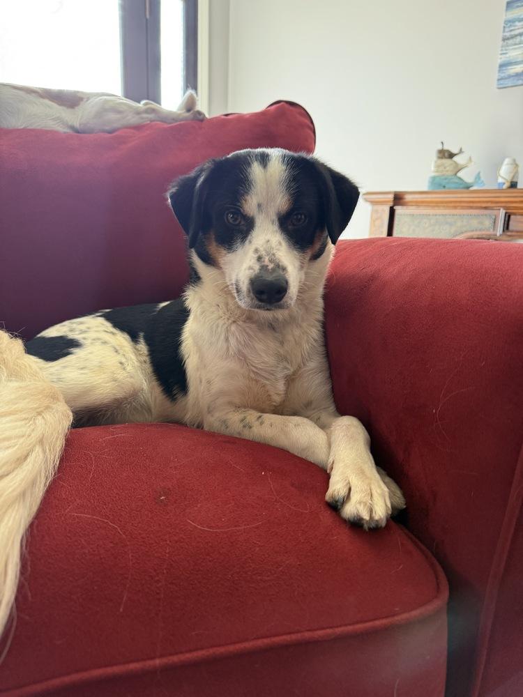 Celine Star thumbnail 6