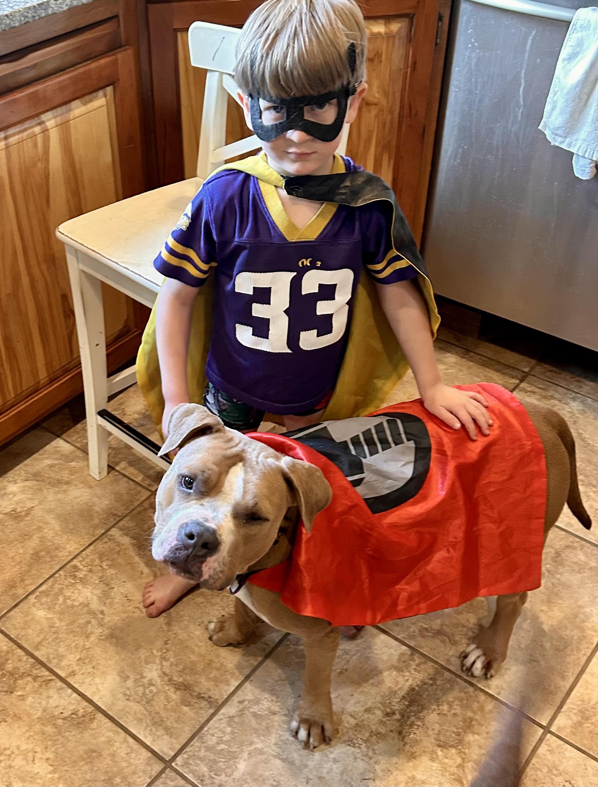 Enlarge Patches-Courtesy Listinig, a Adoptable Pit Bull Terrier in Decorah, IA image 1/1